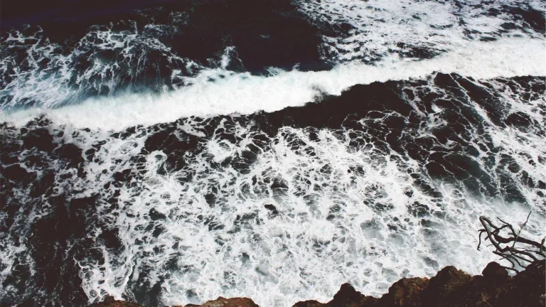 Banner Klien 7